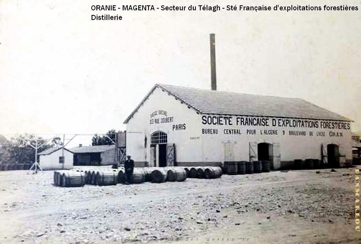 Magenta - Societe Forestiere - Distillerie.jpg